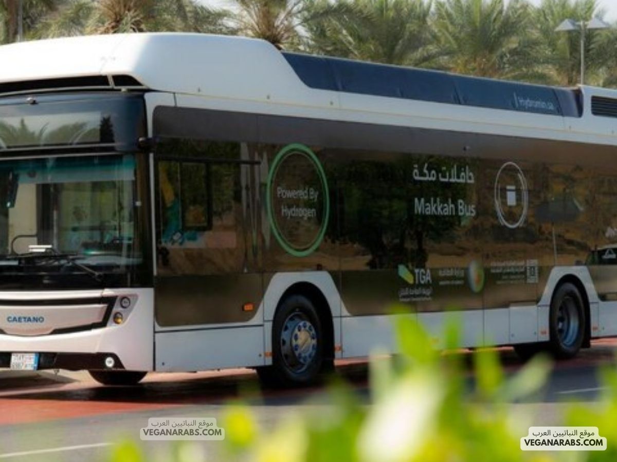 مكة تجرب حافلات تعمل بالهيدروجين لتعزيز الطاقة النظيفة والاستدامة