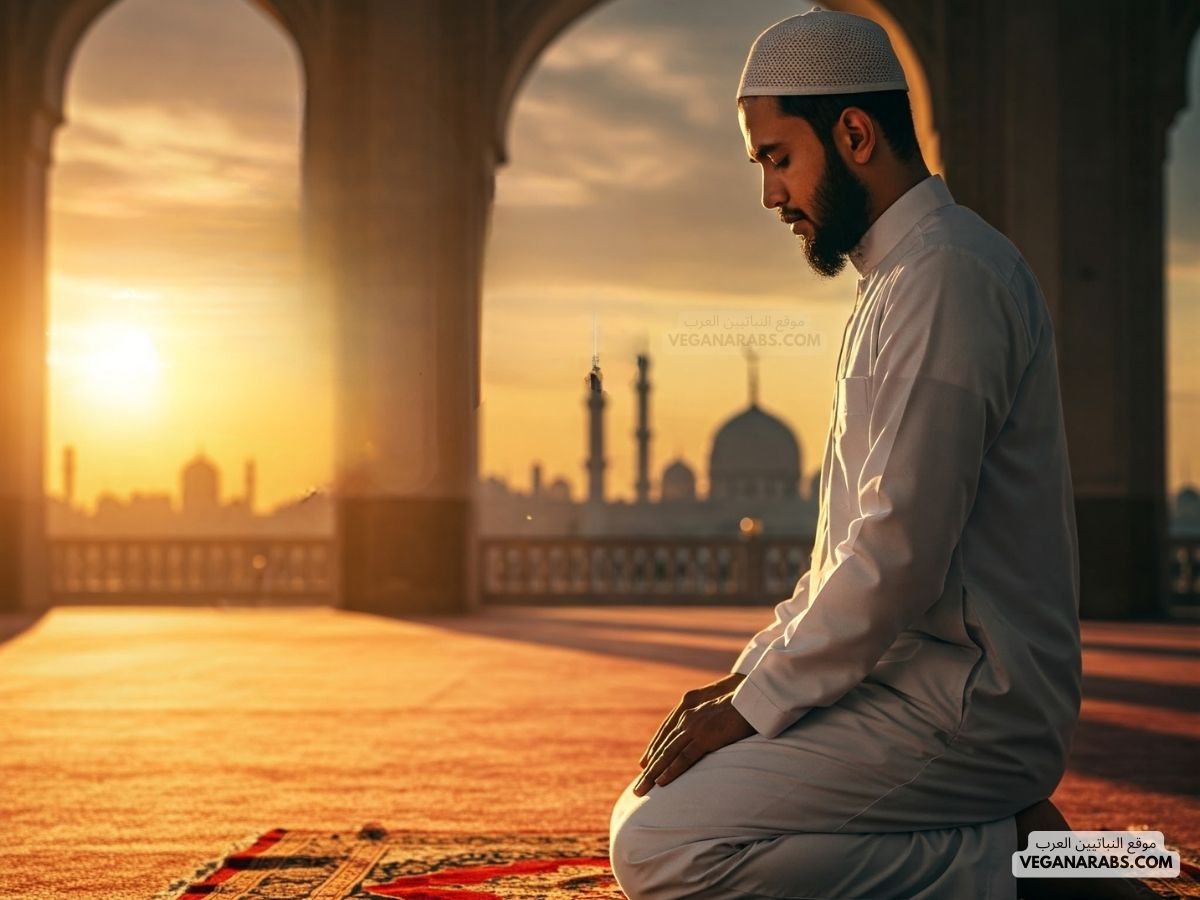 عدد ركعات صلاة التهجد برمضان