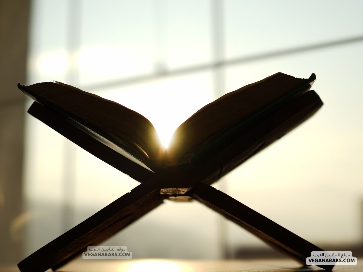 أسهل طريقة لختم القرآن في رمضان