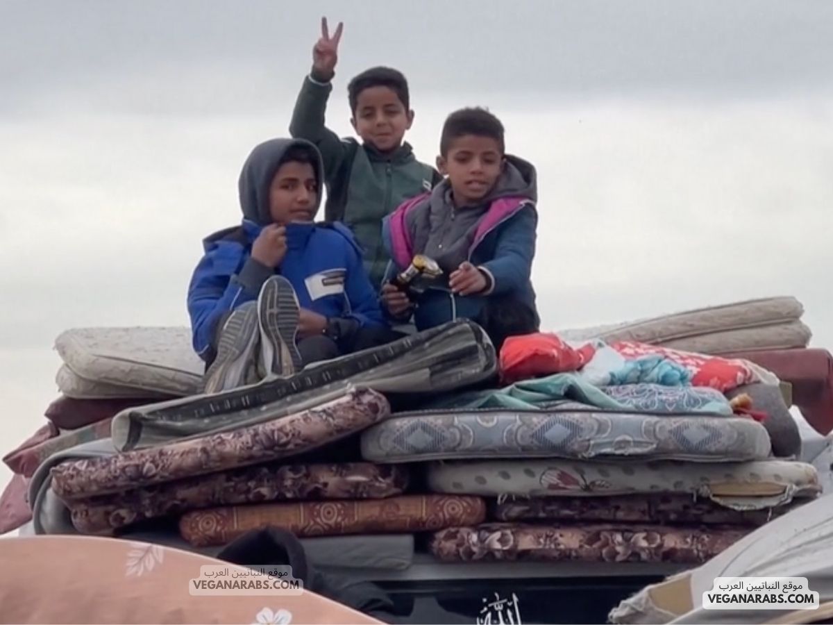 انسحاب القوات الإسرائيلية من ممر نتساريم الذي قسم غزة إلى قسمين