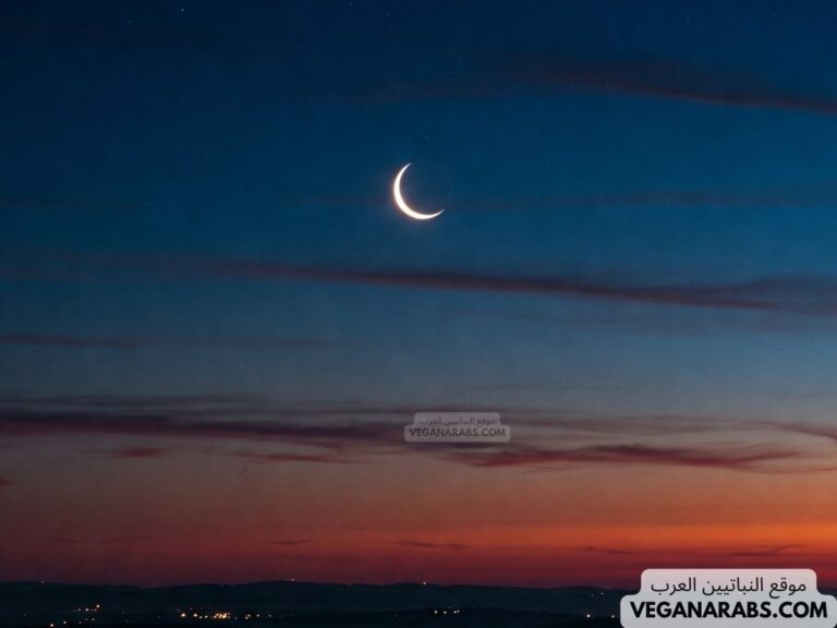 عبارات عن قدوم شهر رمضان