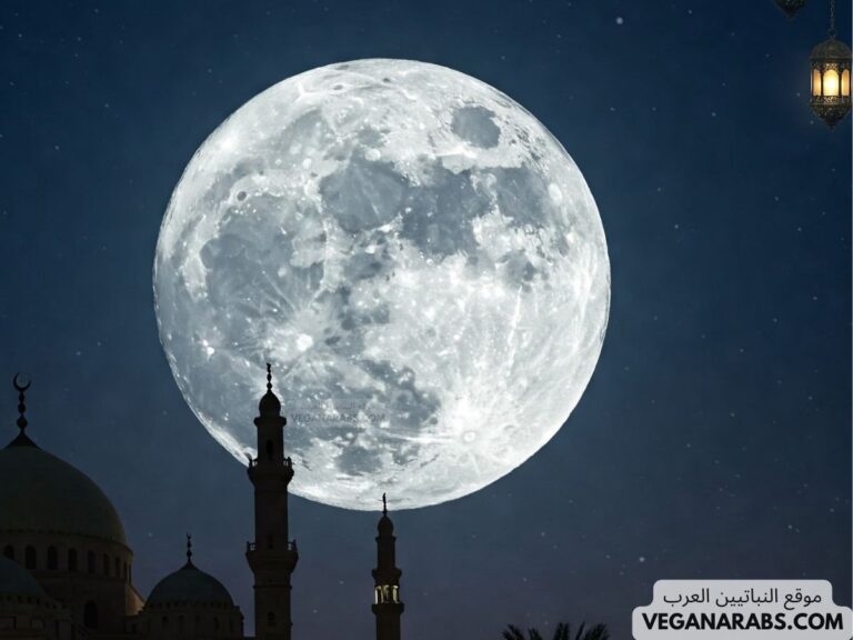 اسئلة دينية عن رمضان