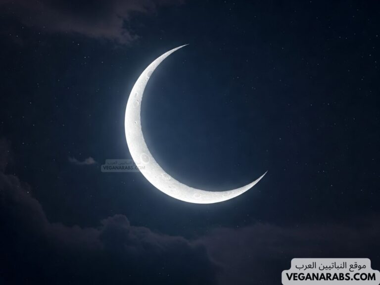 بحث عن كيف نستقبل رمضان