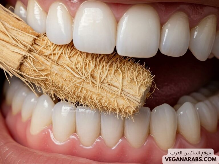 هل السواك يفطر