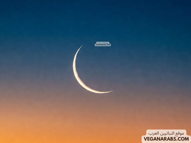 المعاصي التي تبطل الصوم