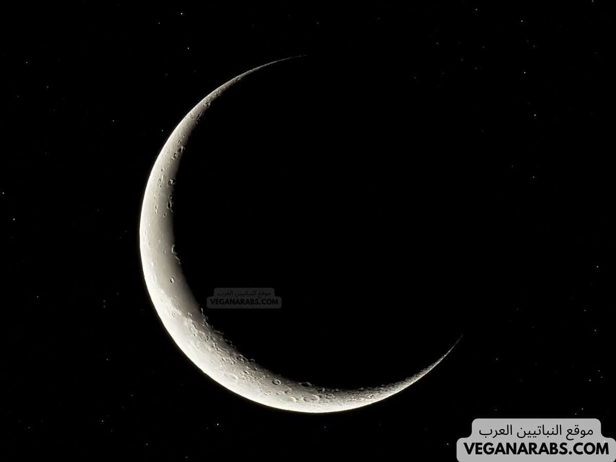 من الذين اختصهم الله تعالى برؤية ليلة القدر؟