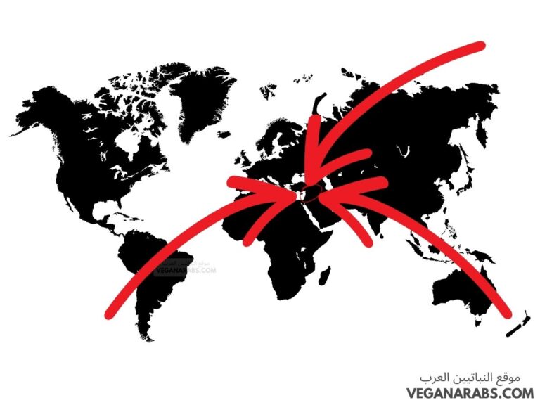 تكثر إحدى وسائل الإعلام من أخبار إحدى الدول خاصة وتهمل دول أخرى يعتبر هذا الذي قامت به