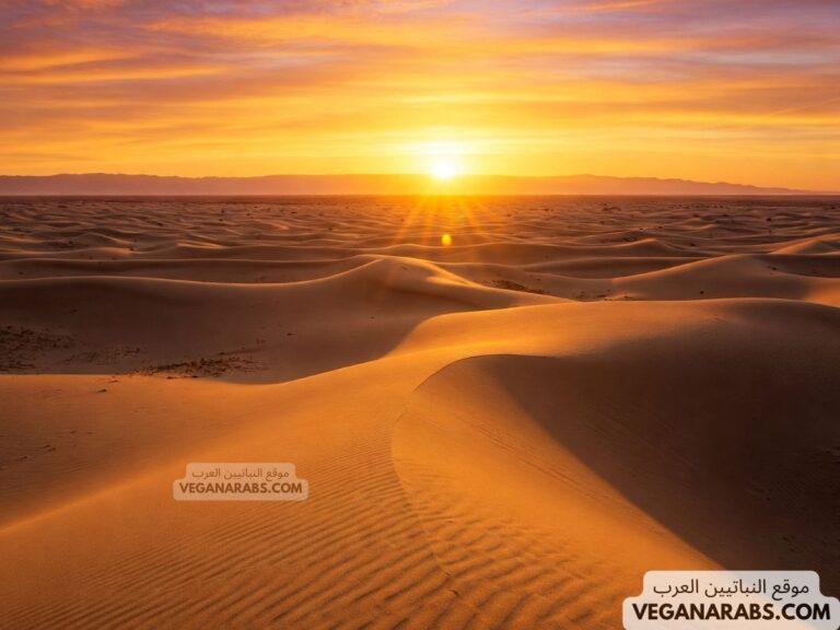 دعاء الصباح