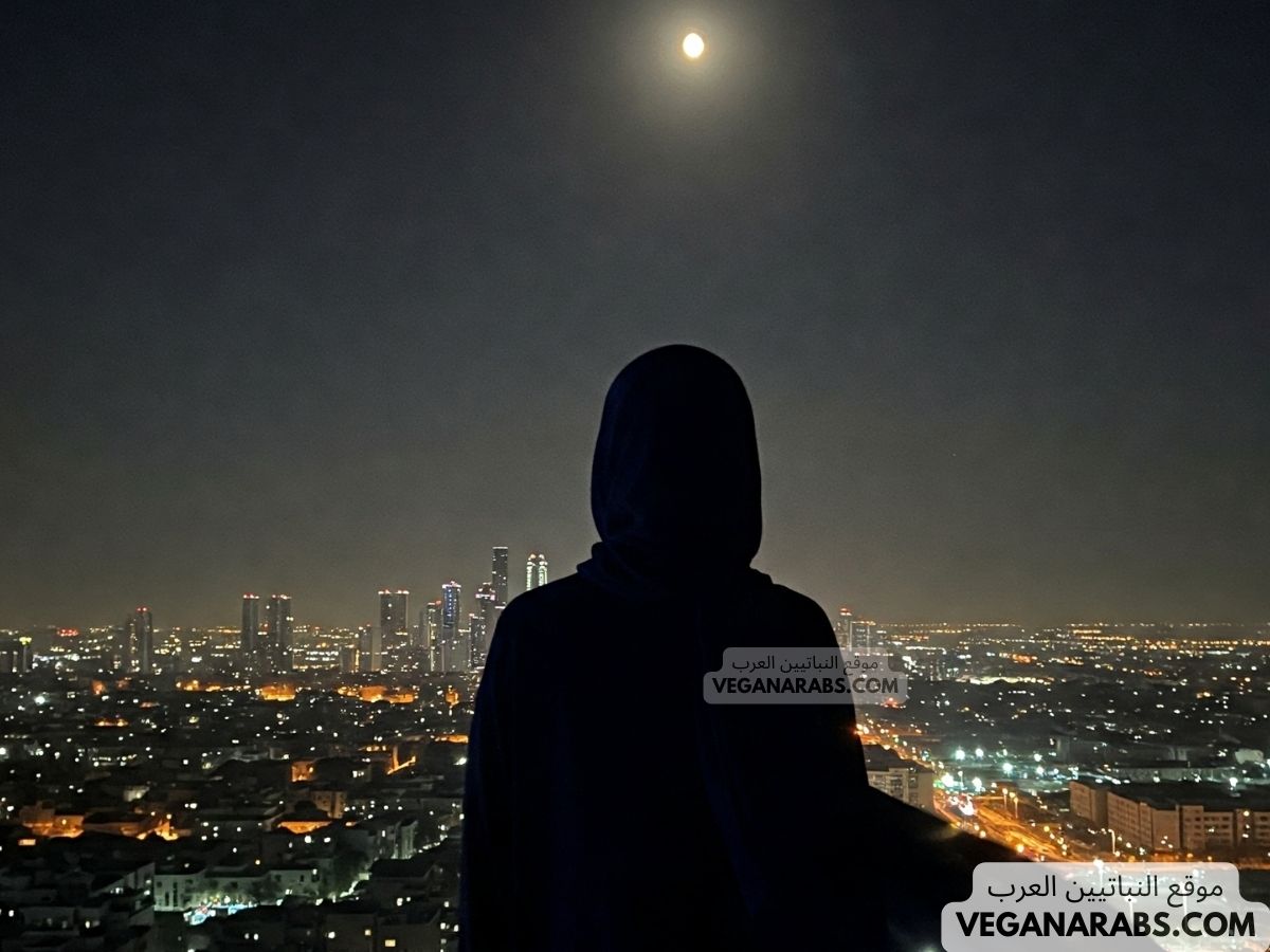 دعاء من تعار من الليل