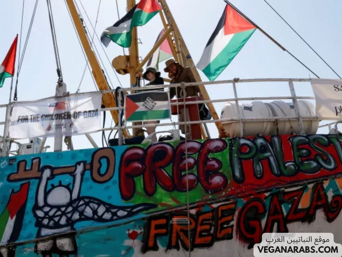 طائرات بدون طيار تضرب سفينة مساعدات لغزة في المياه الدولية – ما الذي حدث فعلاً؟