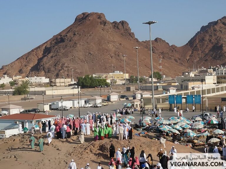 فضل يوم عرفة