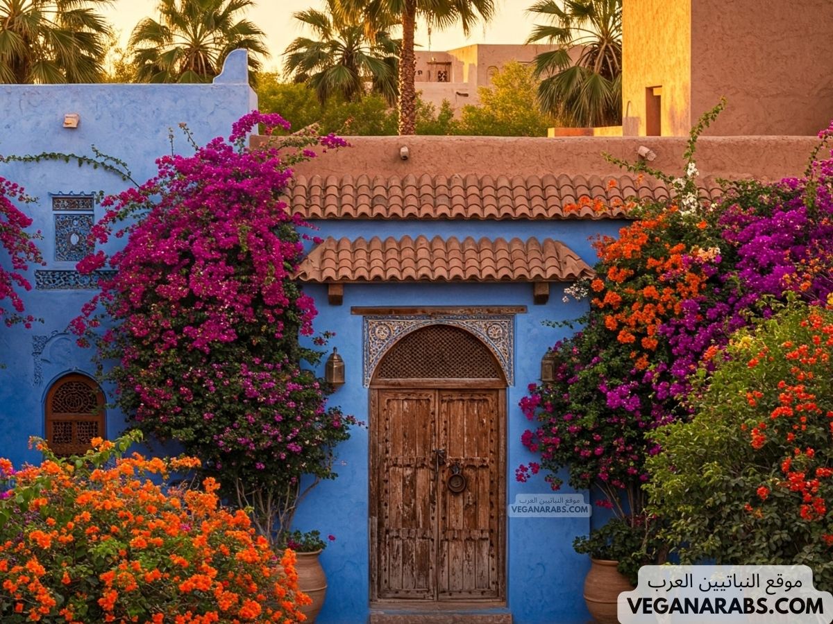 كيف انقل ملكية عقار هبة؟