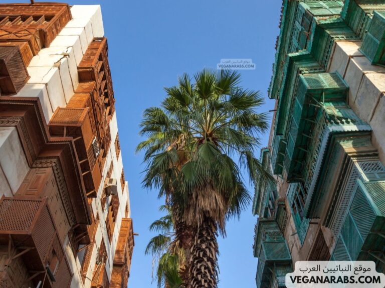 من أين يحرم أهل جدة