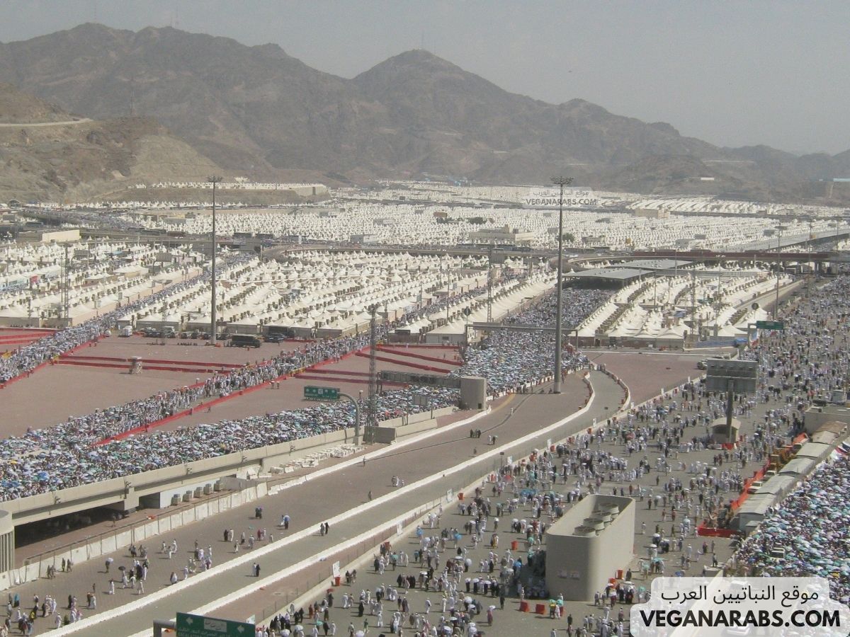 ما المقصود بيوم التروية