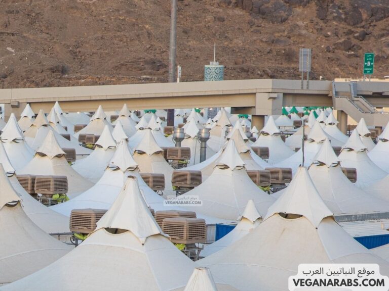 كيفية رمي الجمرات في الحج