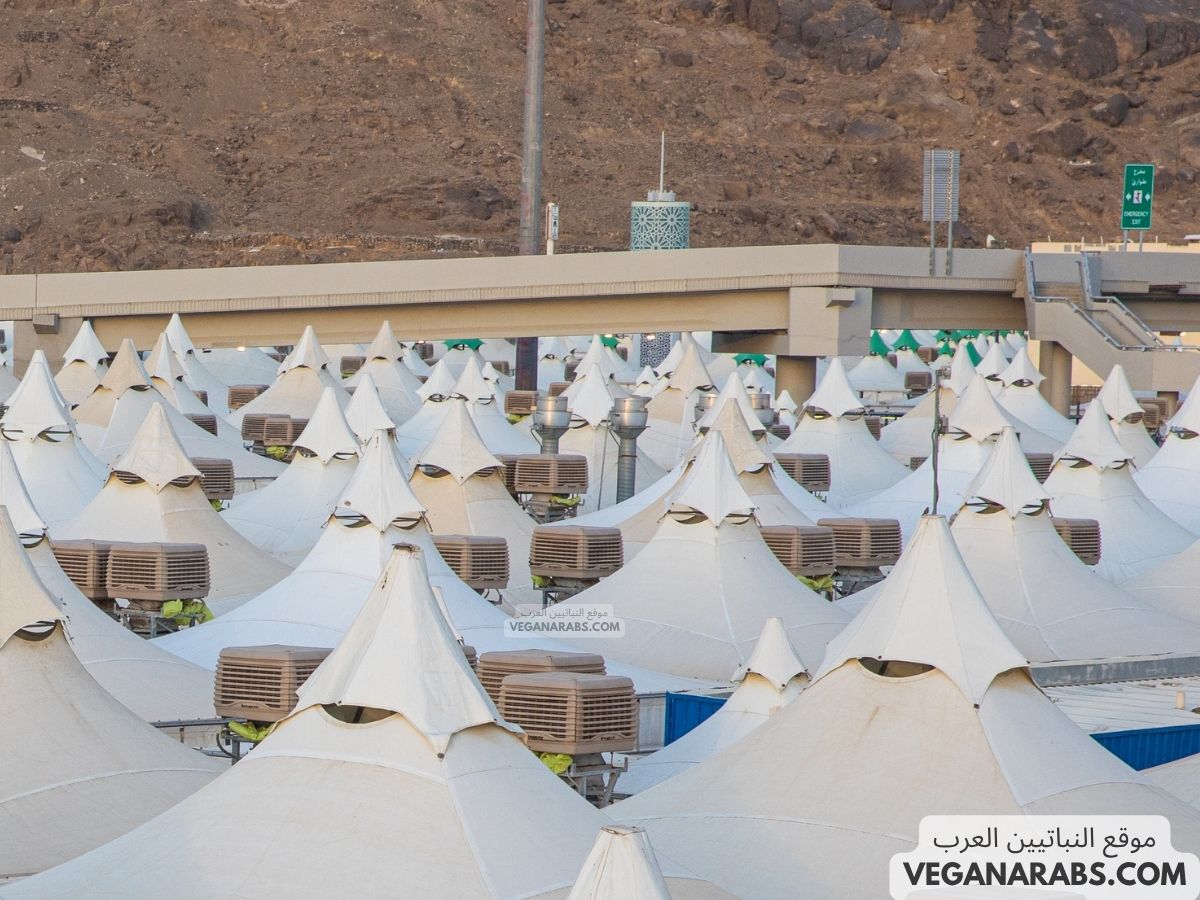 كيفية رمي الجمرات في الحج