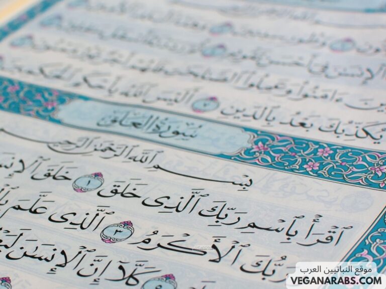 فضل سور القرآن الكريم