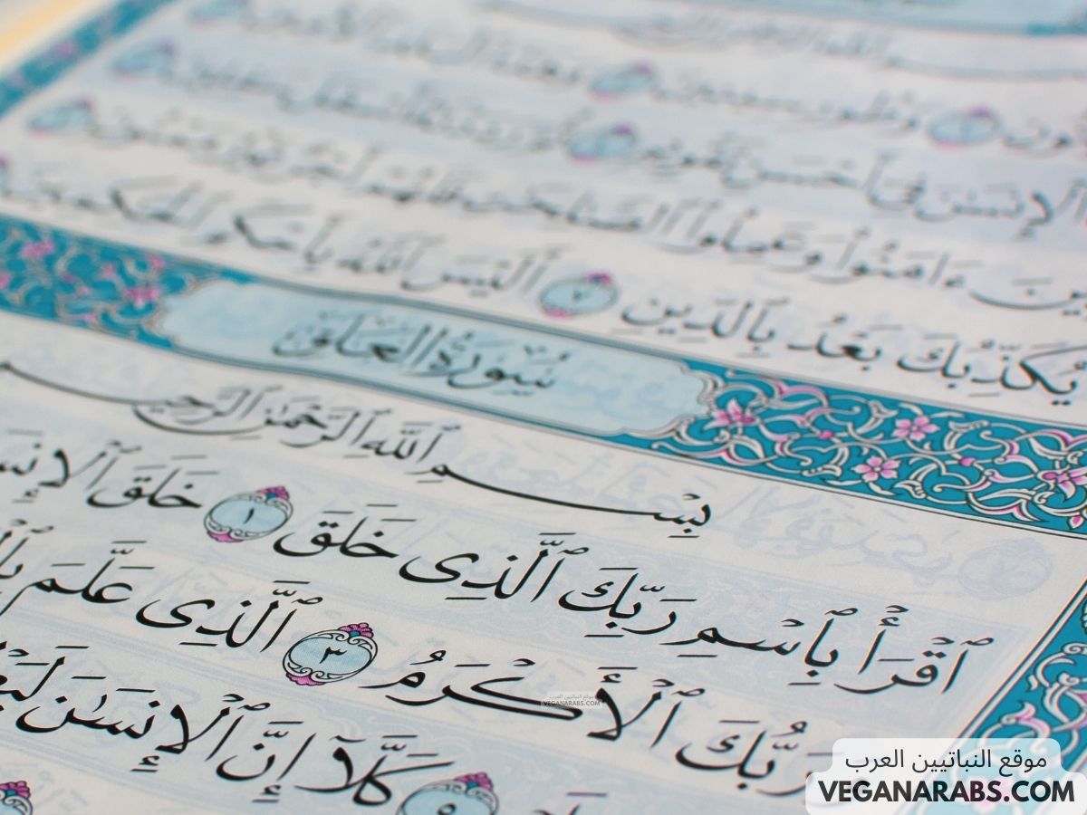 فضل سور القرآن الكريم