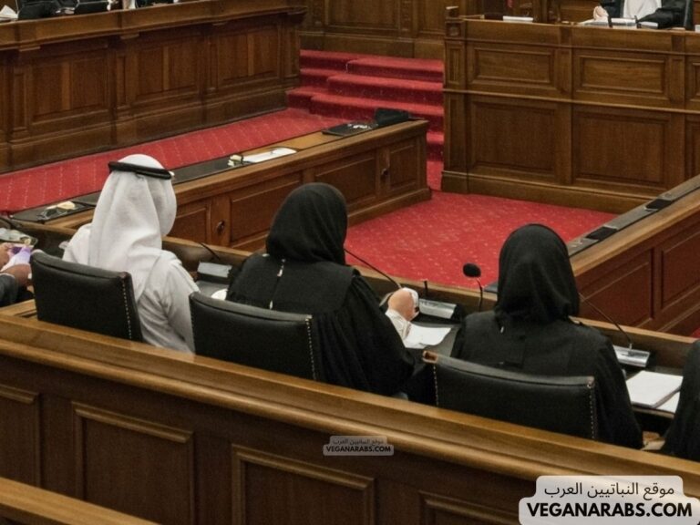 إخلاء عقار من محكمة التنفيذ