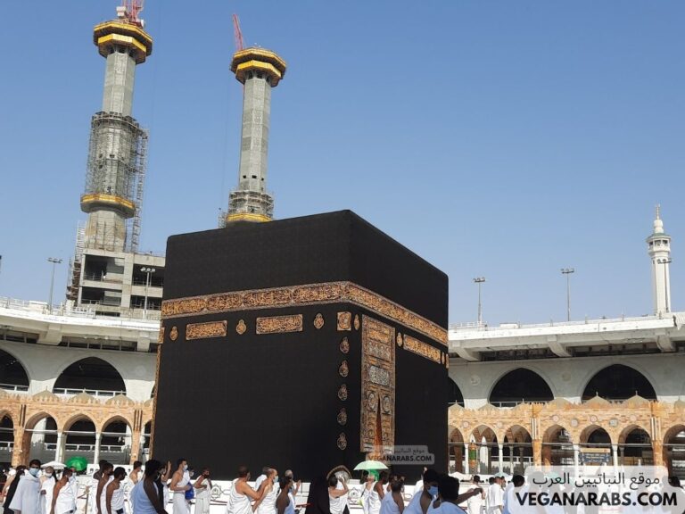 ما هي شروط الحج