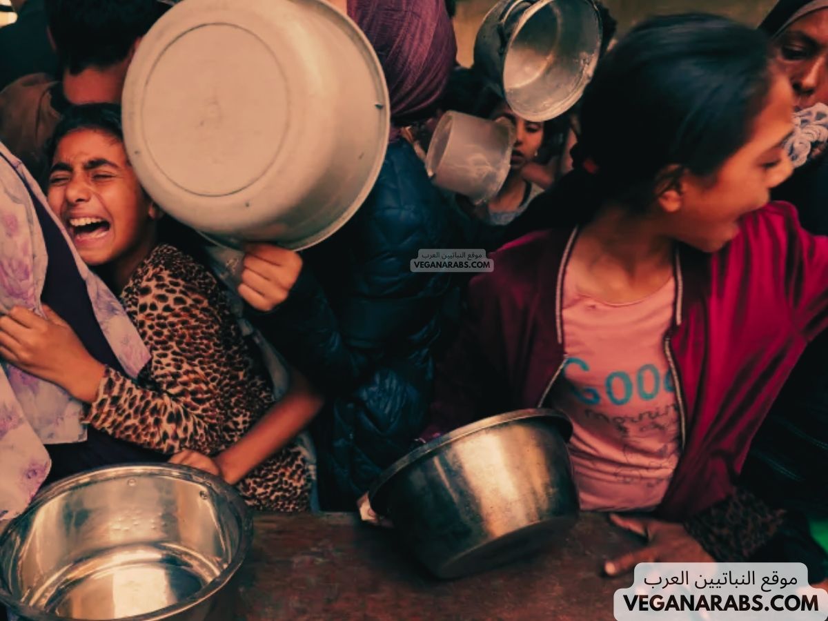 29 وفاة بسبب الجوع في غزة وسط تحذيرات من كارثة إنسانية وشيكة