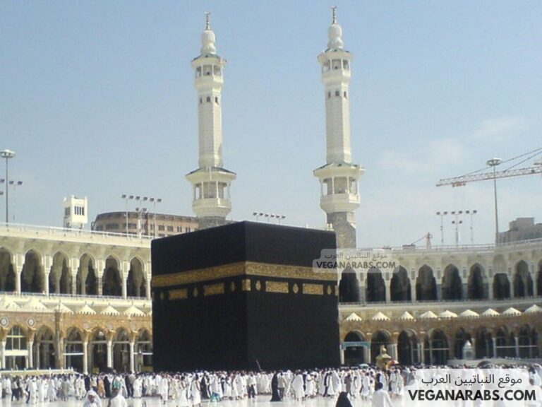 دعاء الصفا والمروة