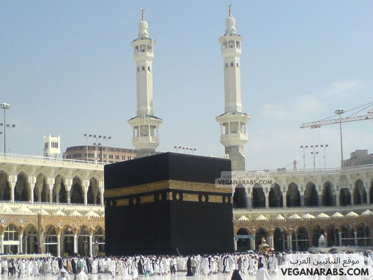 دعاء الصفا والمروة