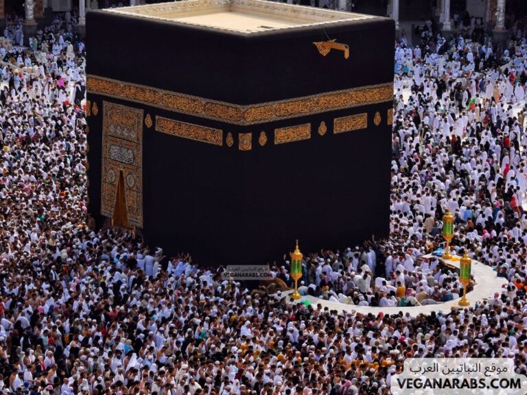 شروط الحج وأركانه