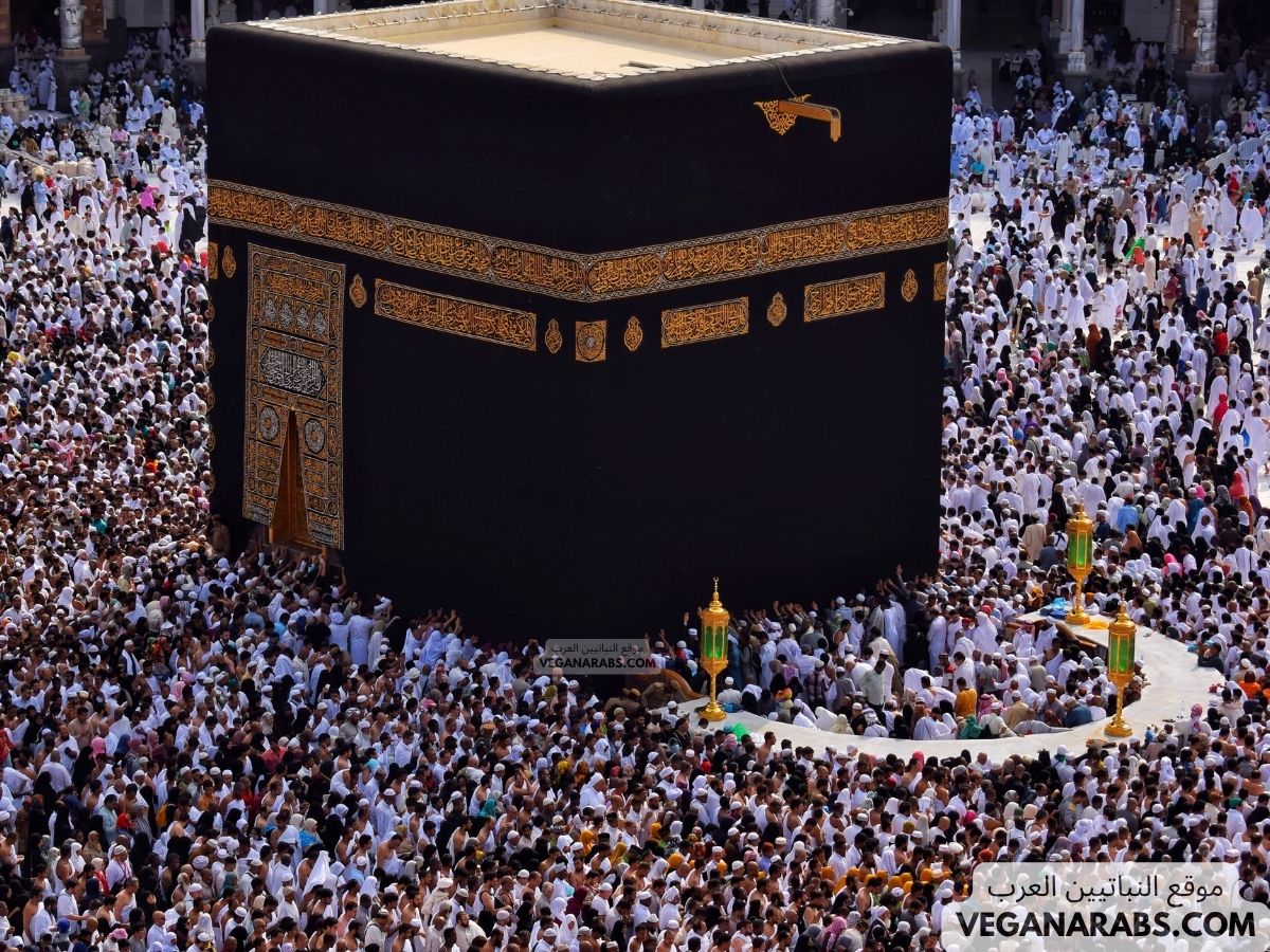 شروط الحج وأركانه