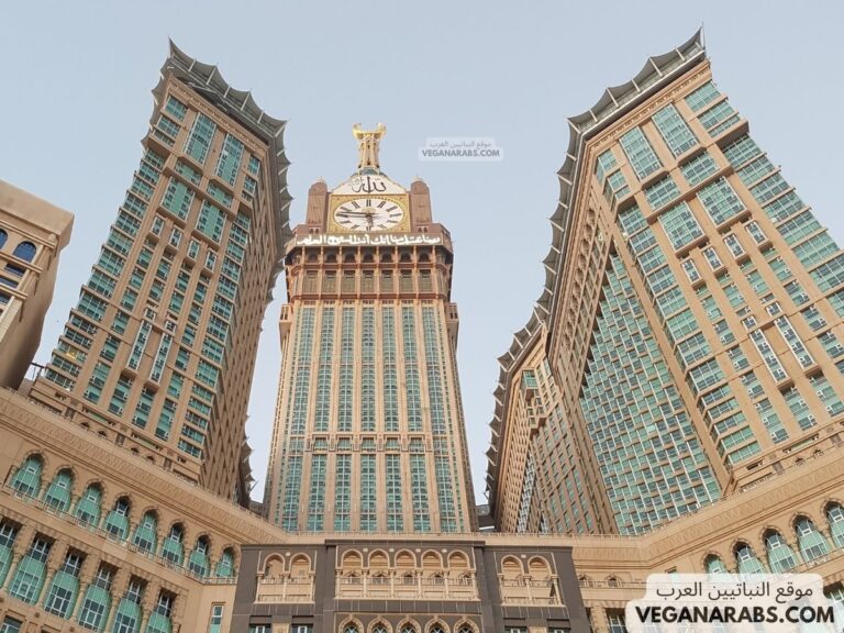 شقق للبيع في برج الساعة