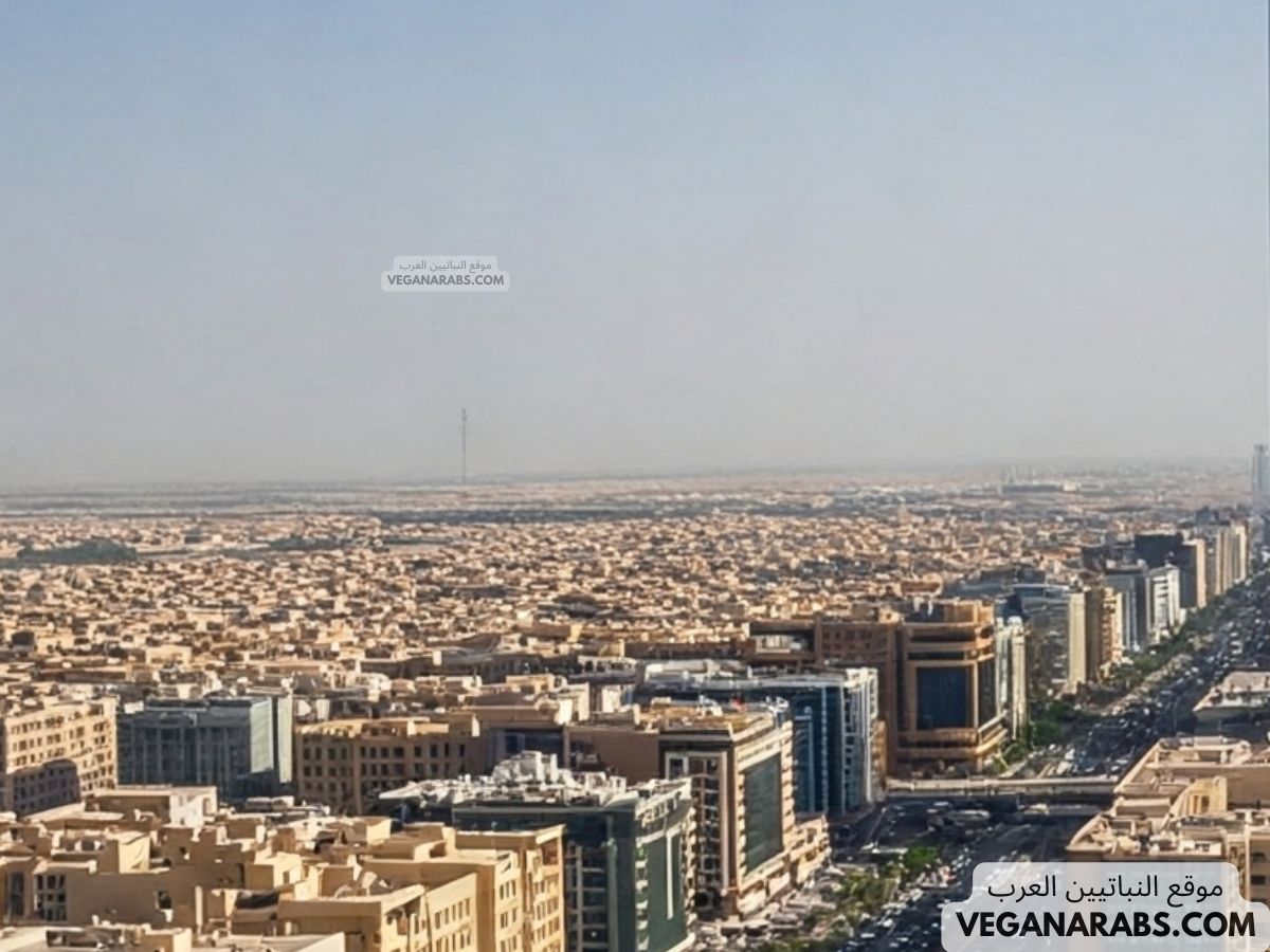 هل العقار مرتفع في الرياض؟