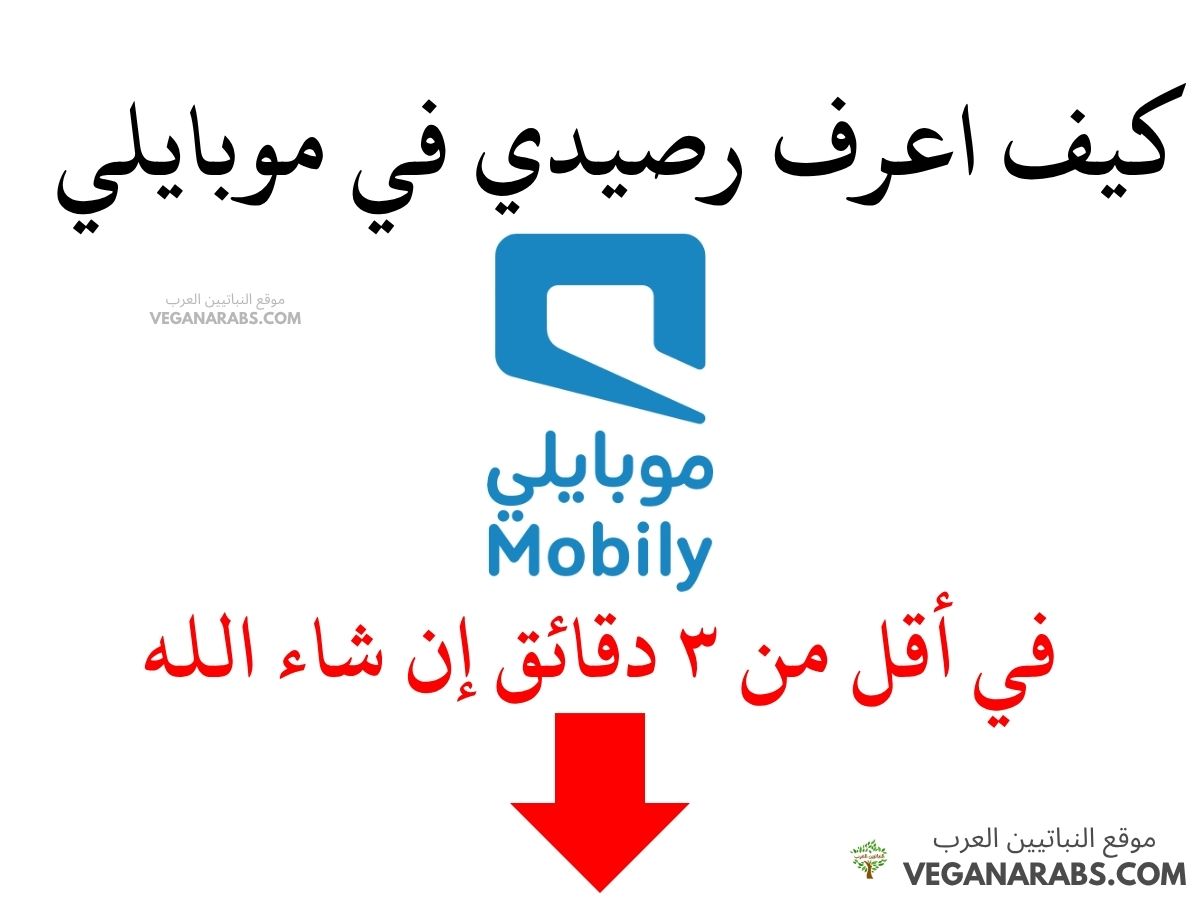 كيف اعرف رصيدي في موبايلي