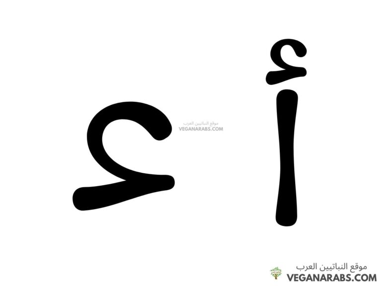 شرح همزة القطع مع تمارين