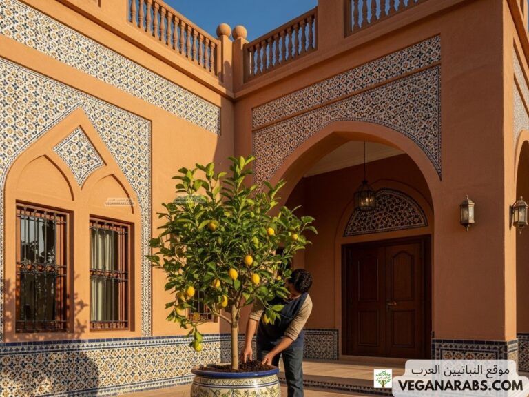 كيف ازرع الليمون