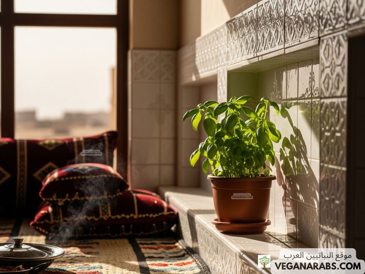 كيف تزرع الحبق في البيت