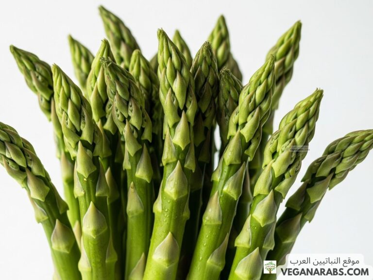 كيف يتكاثر نبات الاسبرجس