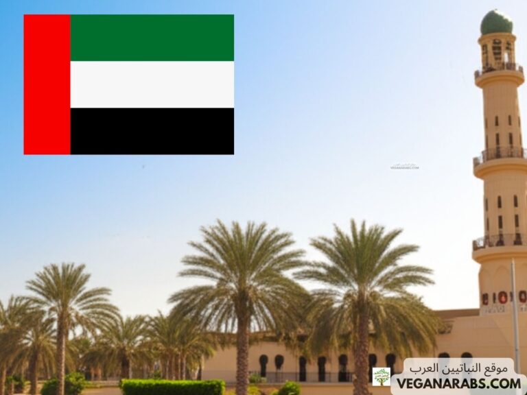 ما هي ثالث أكبر إمارة في الإمارات