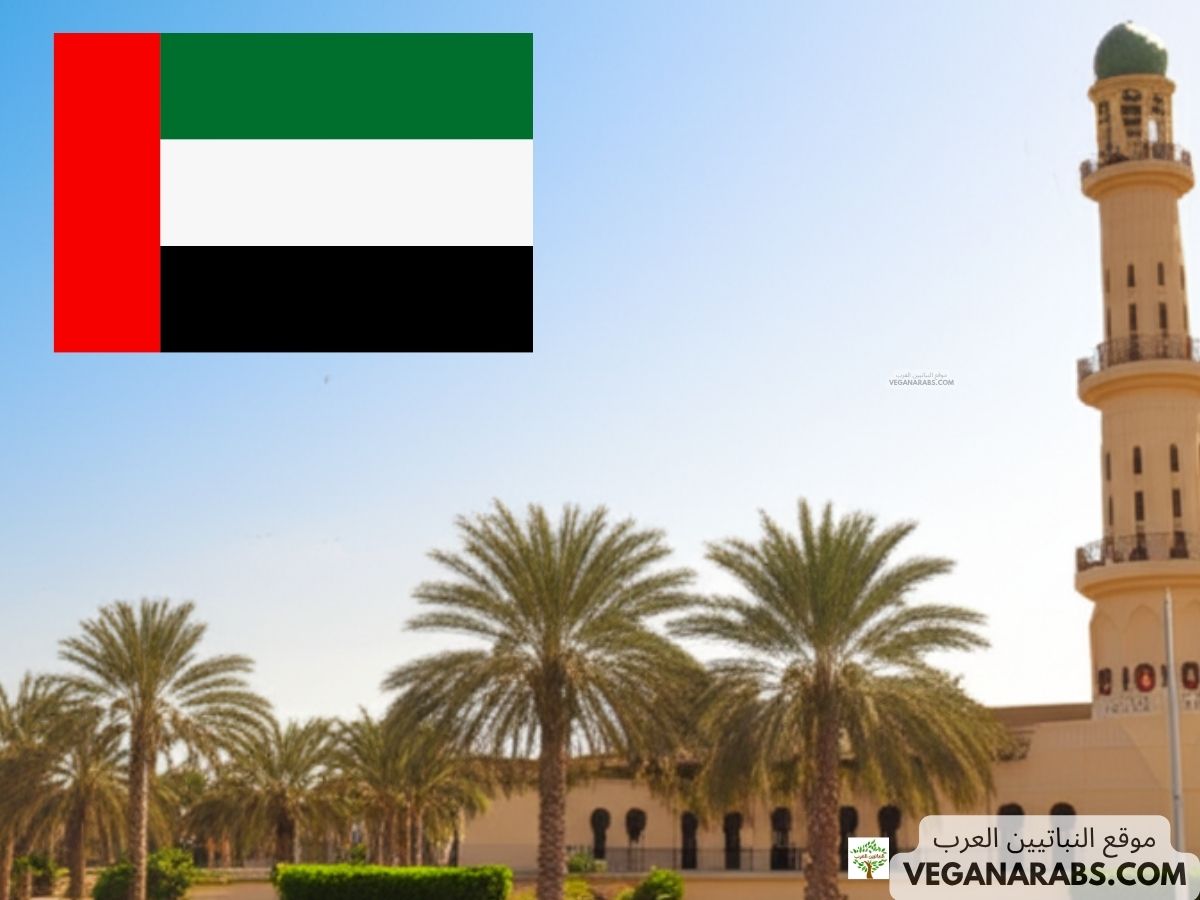 ما هي ثالث أكبر إمارة في الإمارات