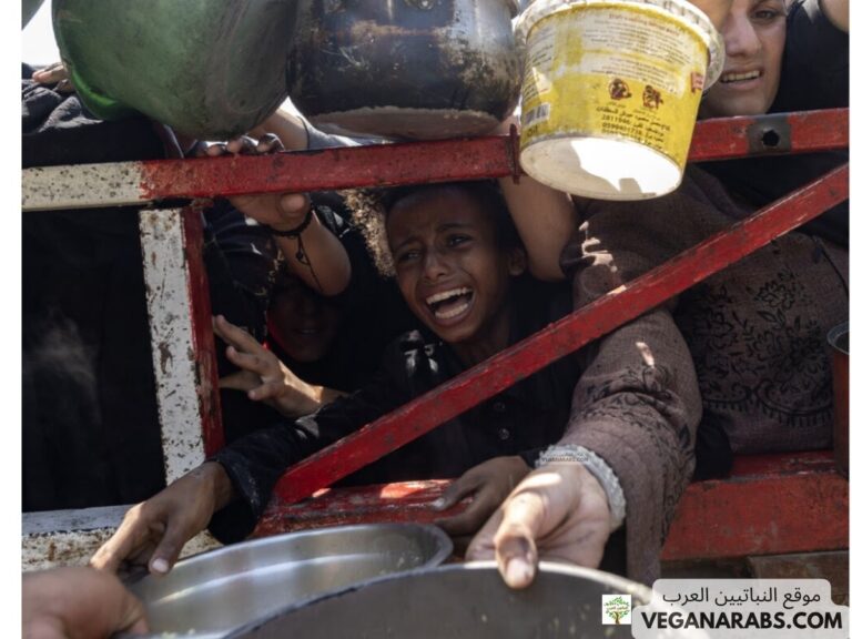 غزة تموت جوعًا: مأساة إنسانية تتفاقم وسط حصار وانهيار تام
