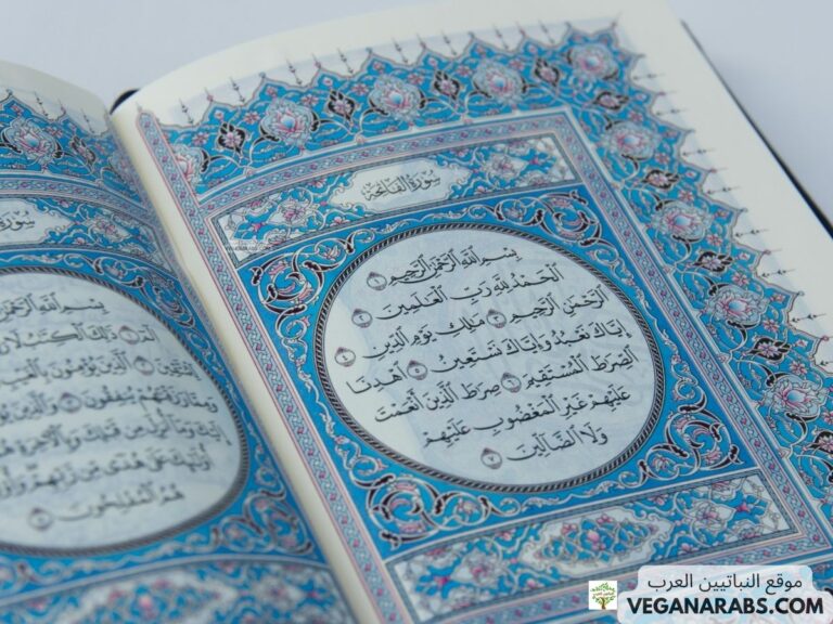 القرآن الكريم سوره البقره سوره الفاتحه