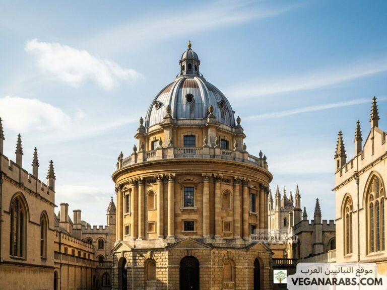 أفضل 500 جامعة في العالم معتمدة من وزارة التربية والتعليم