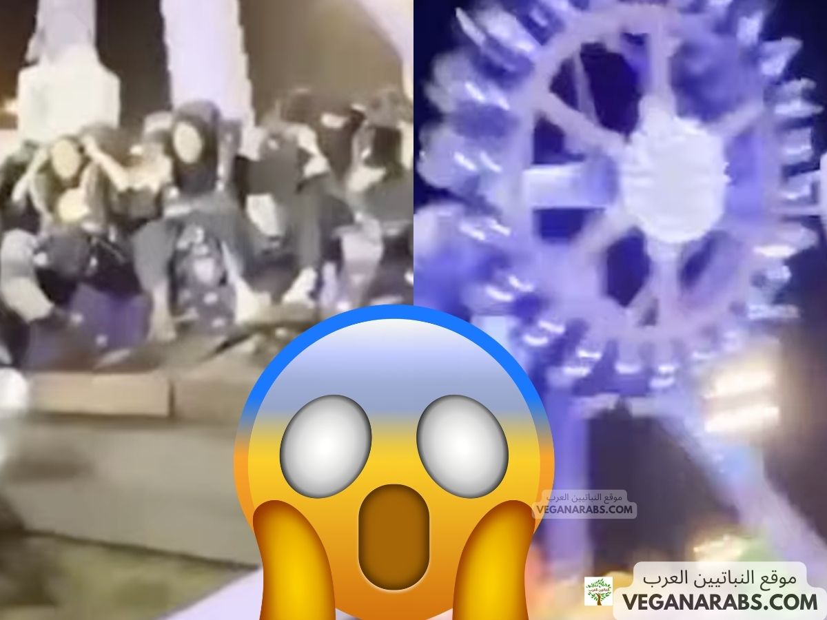 ملاهي الطائف مأساة الهدا.. تفاصيل حادث سقوط لعبة وإصابة 23 شخصًا مع الفيديو