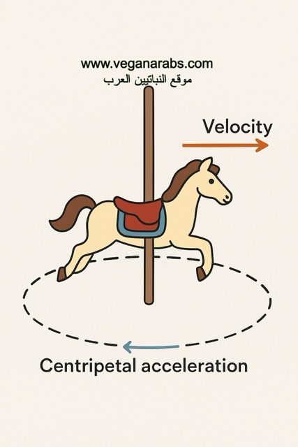 Illustration of a carousel horse with arrows showing velocity moving right and centripetal acceleration inward. Text includes "veganarabs.com" and Arabic equivalent.