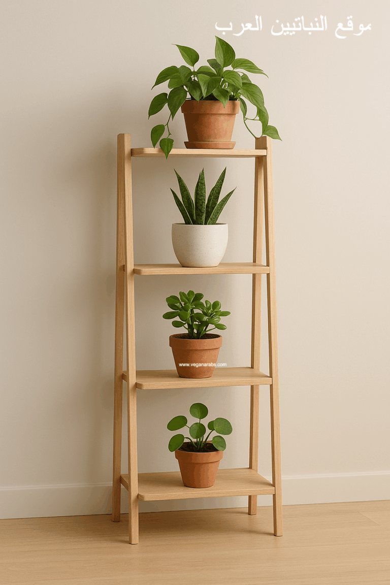 Wooden shelf with four potted plants on each tier, set against a light beige wall. The scene conveys simplicity and calm. Arabic text is visible at the top.