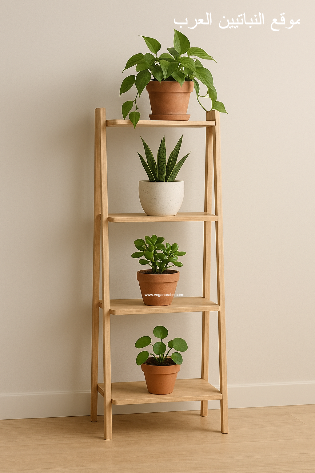 Wooden shelf with four potted plants on each tier, set against a light beige wall. The scene conveys simplicity and calm. Arabic text is visible at the top.
