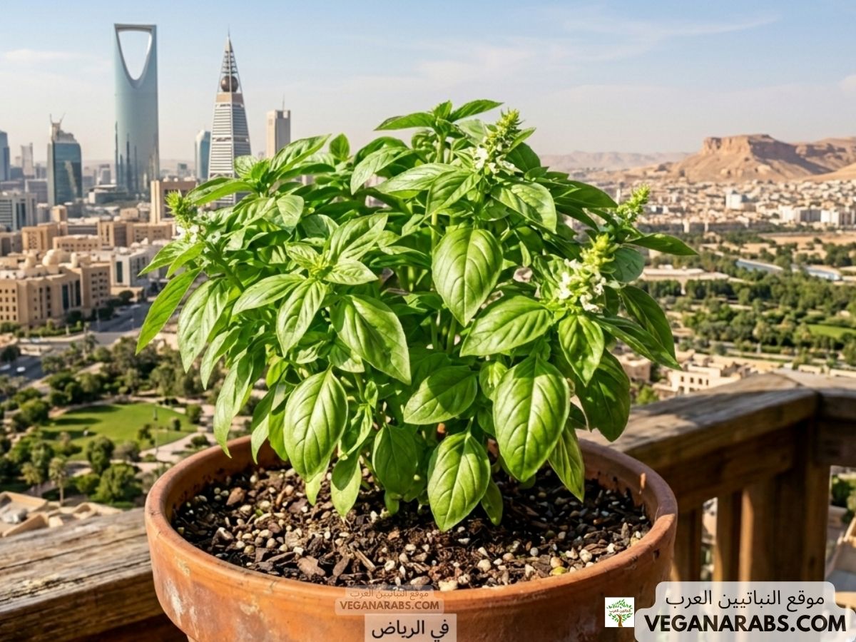 A potted basil plant on a balcony overlooking Riyadh's skyline under a blue sky. Iconic towers rise in the background, creating a vibrant urban contrast.